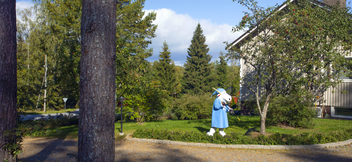 Herra Hakkarainen haravoi vaalean omakotitalon pihassa