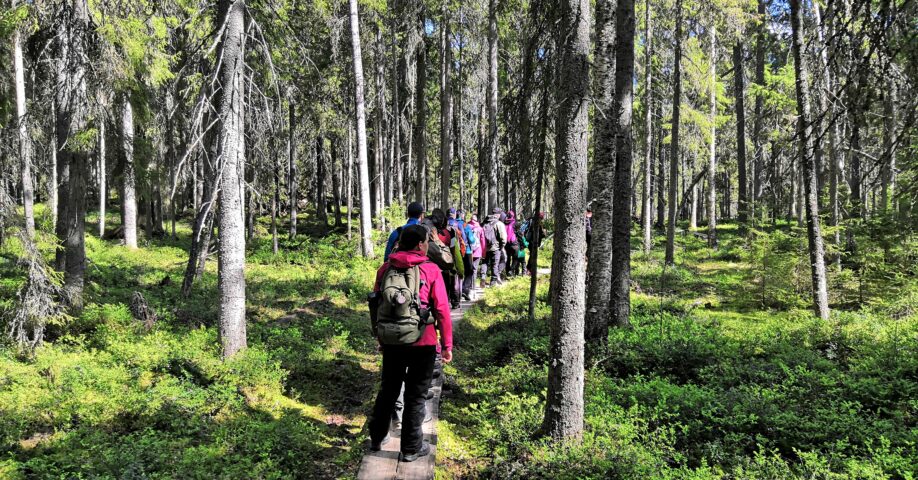 Retkeilijöitä metsässä.