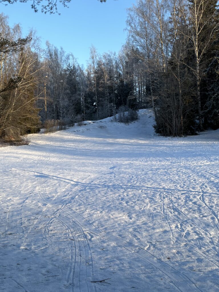 Hopun liikuntapuisto