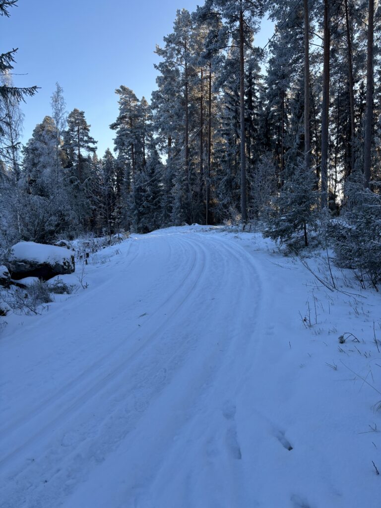 Kiikan liikuntapuisto